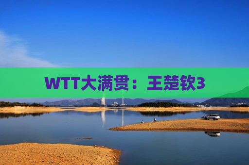 WTT大满贯：王楚钦3