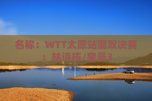 名称：WTT太原站混双决赛：林诗栋/奎曼3